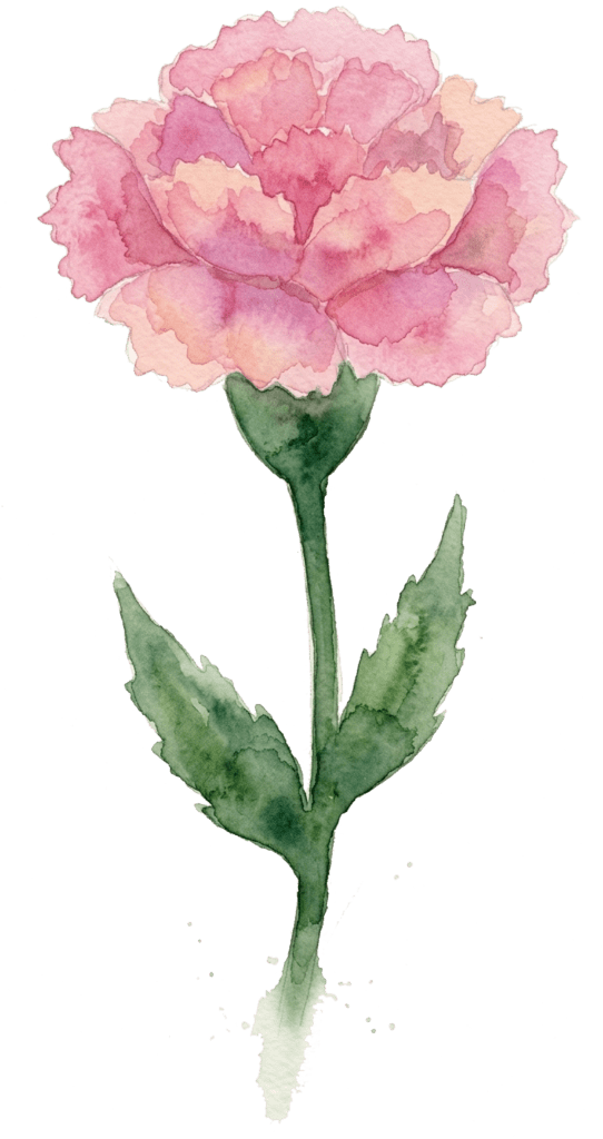 carnation